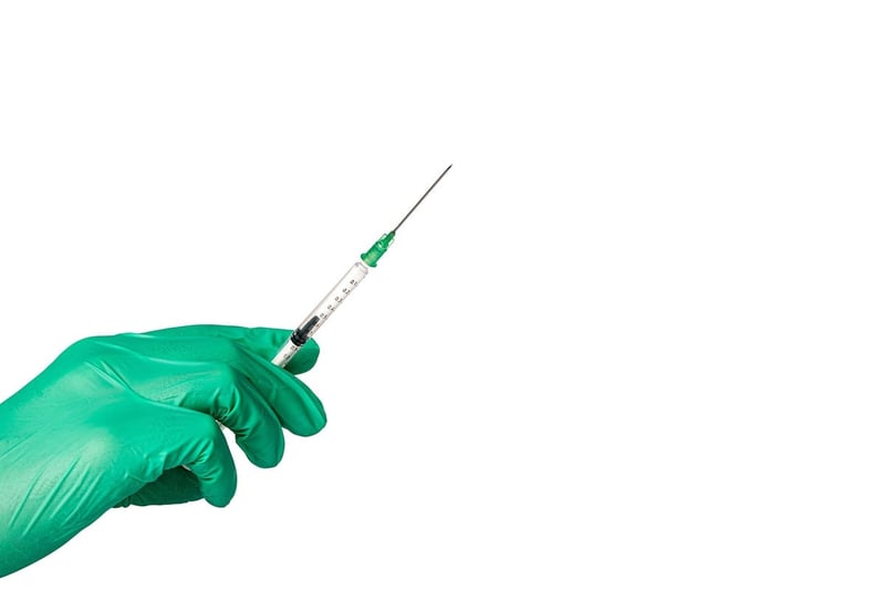 Welche Lebensmittel stärken unser Immunsystem?