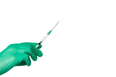 Welche Lebensmittel stärken unser Immunsystem?